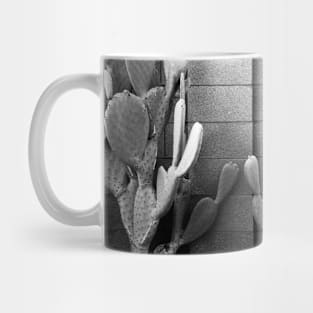 Cacti Mug